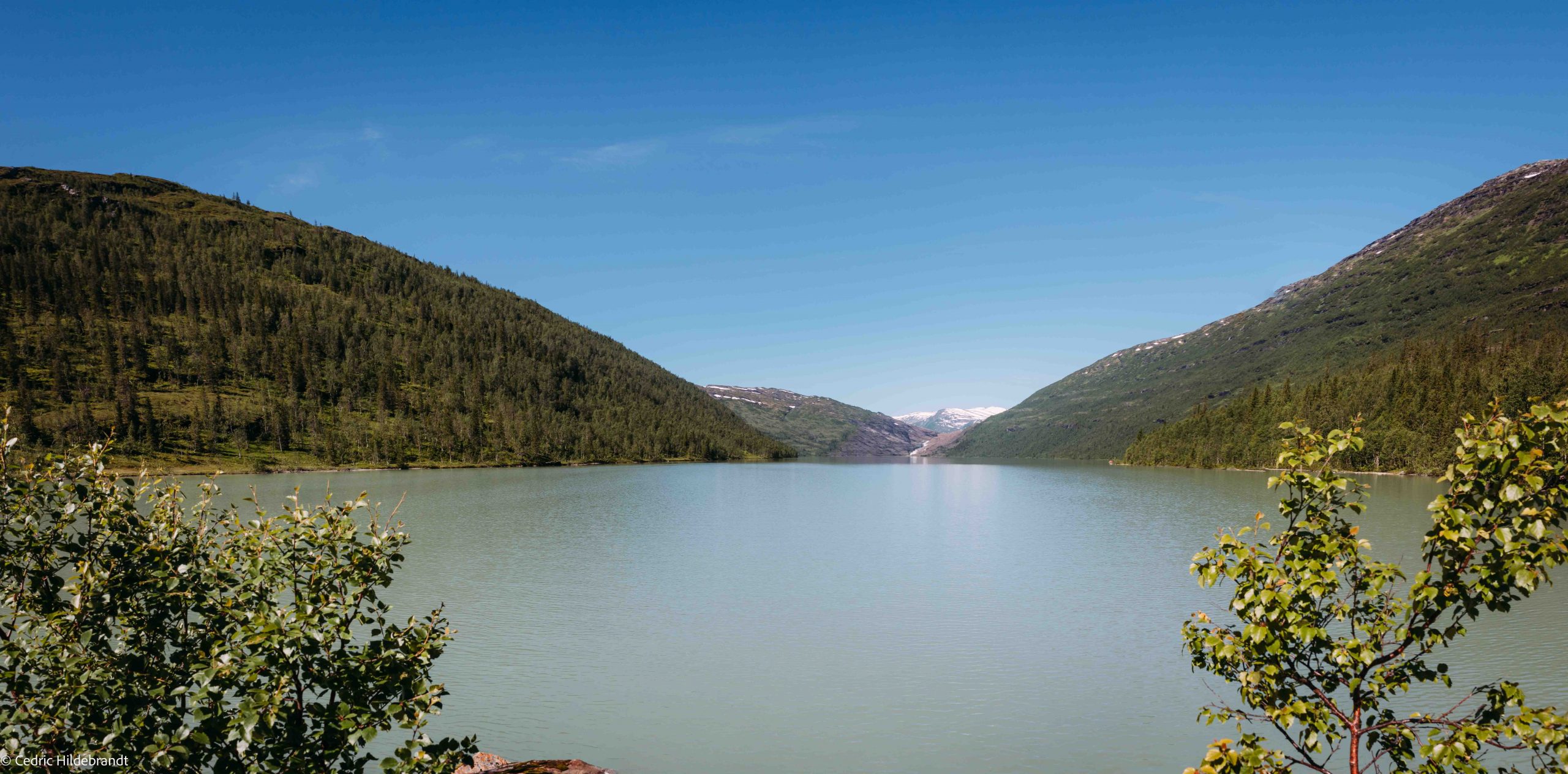 IMG_1752-Pano