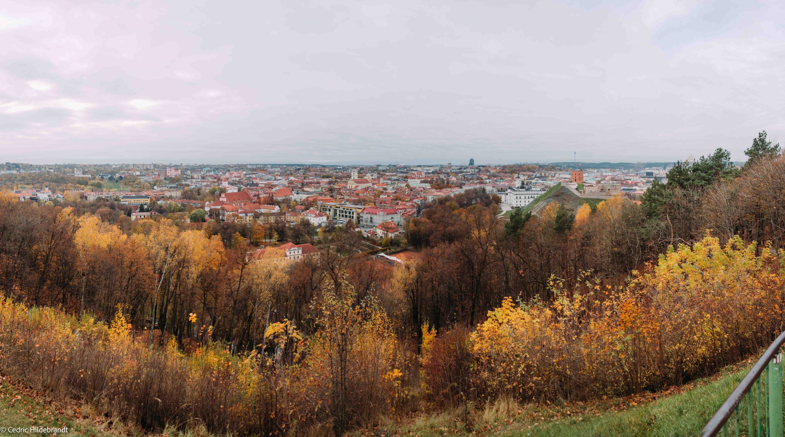 IMG_0470-Pano
